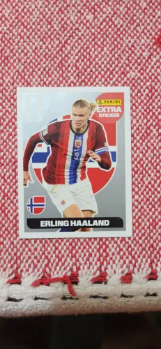 Haaland prata