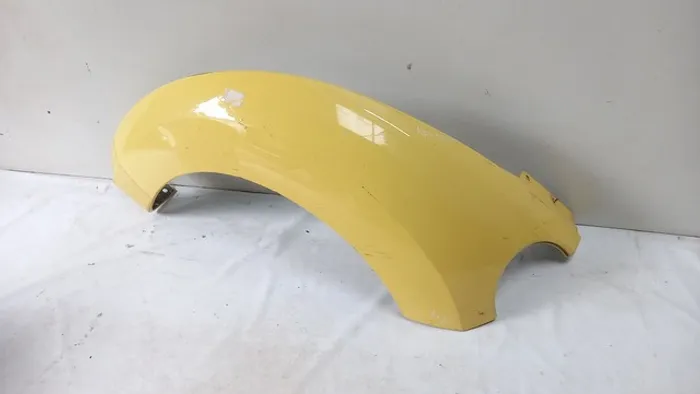 Paralama fusca new beetle 