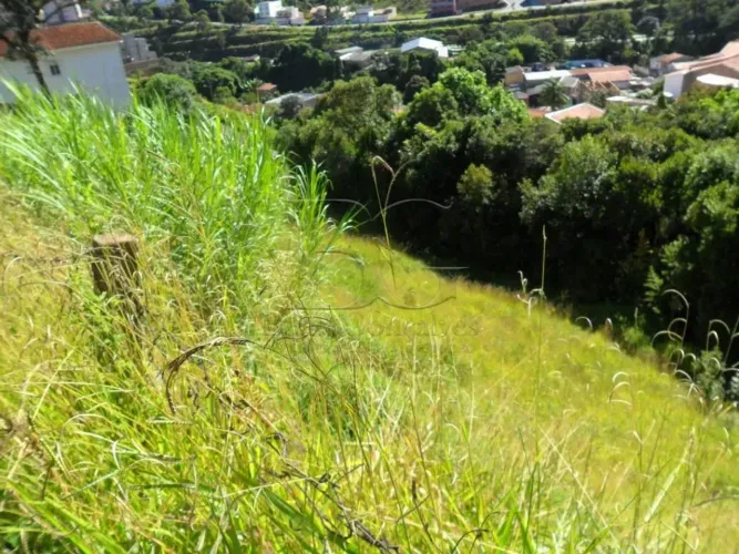 Terrenos Padrão em Poços de Caldas
