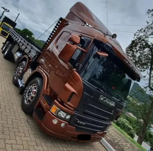 scania p 310 8x2 ano 2014/14