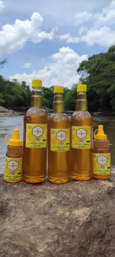 Mel da Florada Cipó Uva + Assa Peixe