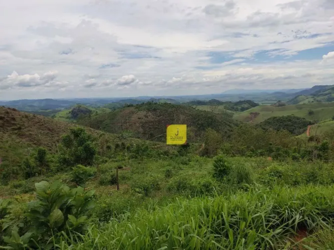 Terreno à venda, 20.330 m² por R$ 219.000 - Fazenda Triquedas - Coronel Pacheco/MG.