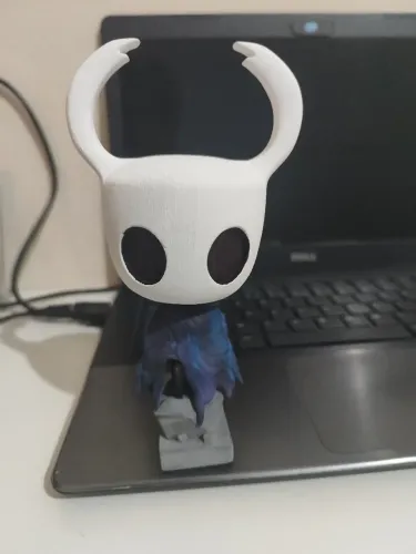 Action Hollow Knight