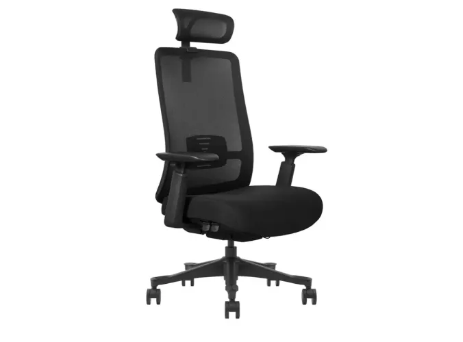 Cadeira ergonômica Albha