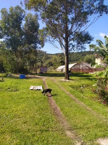 Oportunidade no Norte da Ilha: terrenos de 200 m² por R$ 900/mês