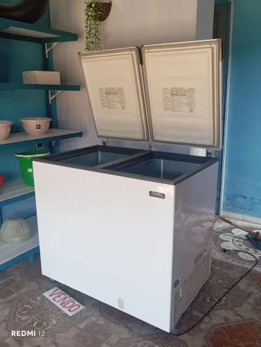 Freezer Esmaltec 309L