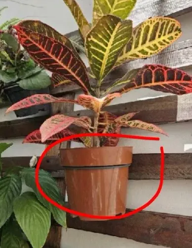 SUPORTE DE FERRO PARA VASOS DE PLANTAS JARDIM SUSPENSO