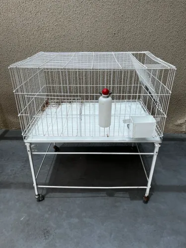 Gaiola grande para mini coelho