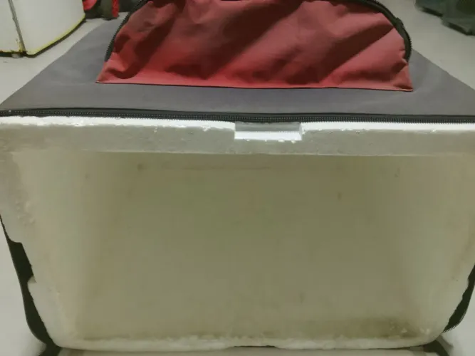 Beg para entrega