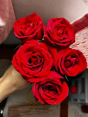 Flores