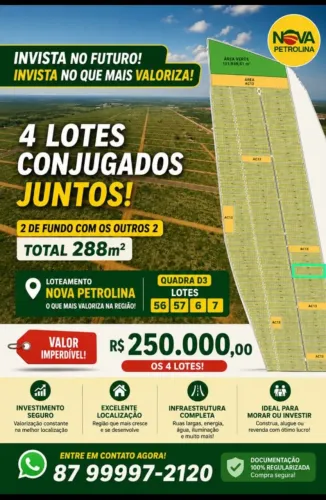 4 LOTES JUNTOS NOVA PETROLINA!