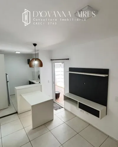 Palmeira Monarca - Atrás da Ulbra