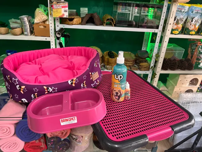 Kit para cães