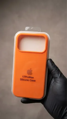 Case 17 Pro Max