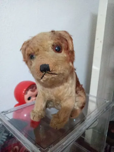 Cachorrinho Molly anos 20, Steiff.