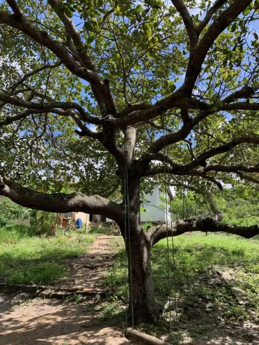 Pequena chácara em frente a uma criação de camarões em Cabeceiras