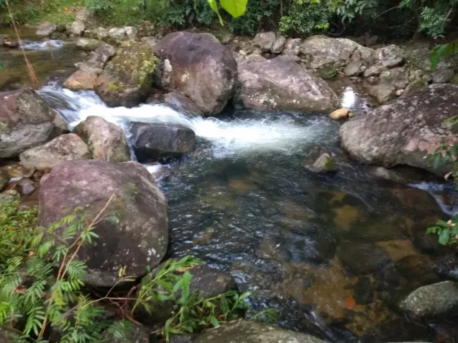 Terreno com riacho cristalino
