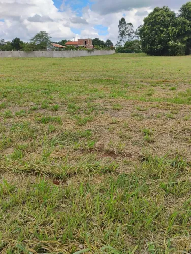 Terreno à Venda Condomínio Portal das Palmeiras | Represa Laranja Doce Martinópolis/SP