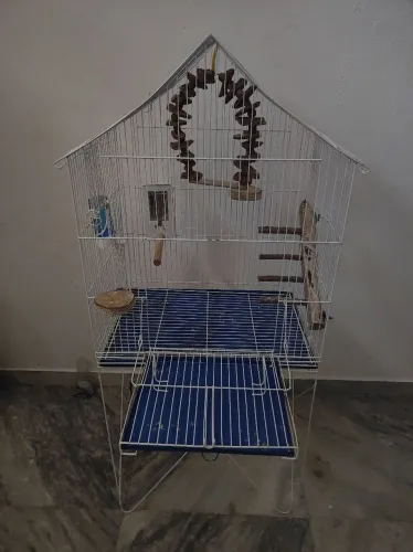 Gaiola grande para calopsita