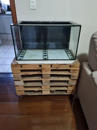 Aquário com móvel de pallet