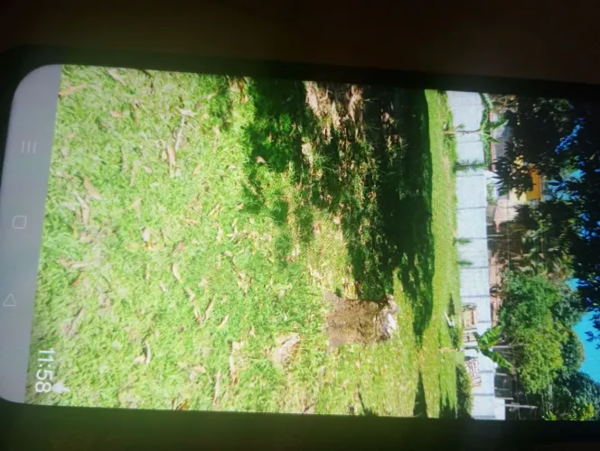 Vendo uma chácara com uma casa ?