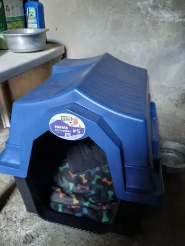 Casinha para pet