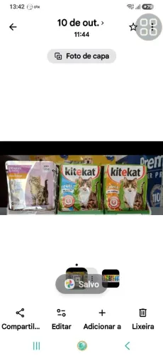 SACHES PRA GATO, TO VENDENDO BARATO, FECHEI A LOJA