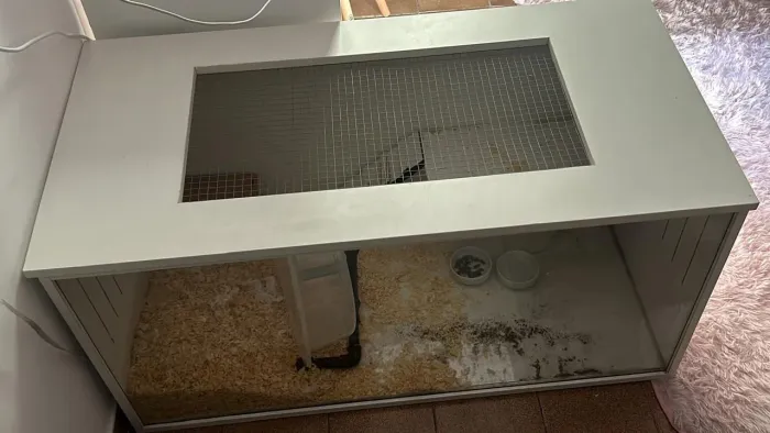Terrario gaiola para hamster e roedores (+ Fotos e vídeos manda mensagem)