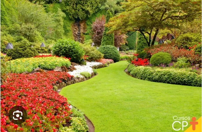 Preciso de jardineiro/ caseiro 