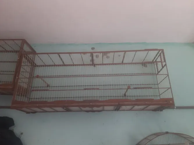 Voadeira de trinca ferro e gaiolas
