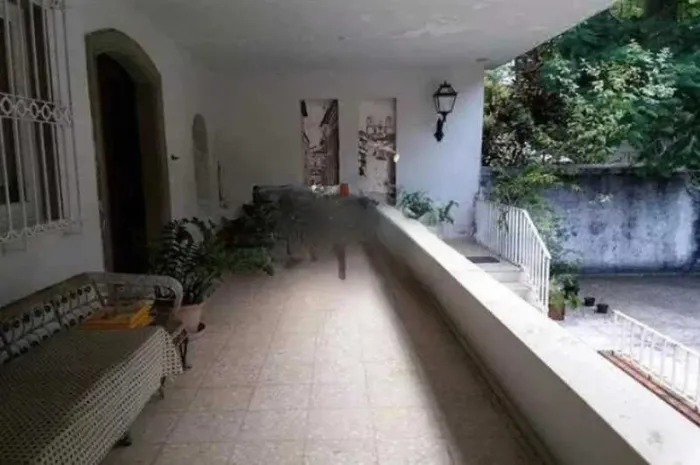 Casa de rua : / Residencial / Gávea