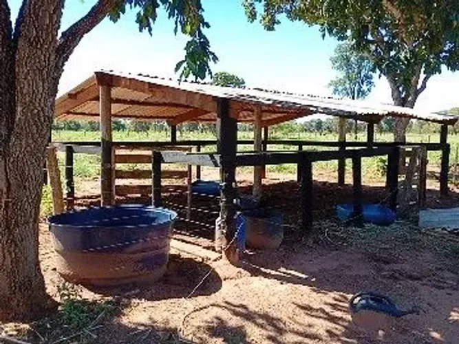 Sitio assentamento 3 coração