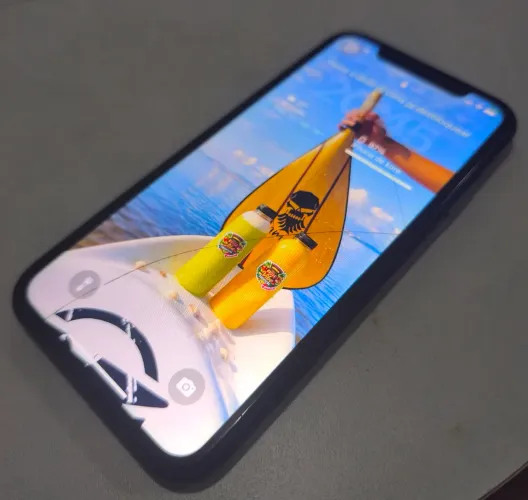 iPhone X