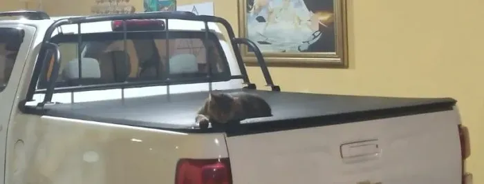 Capota marítima móvel da Pick-up S10. Comprei nova e usei pouco