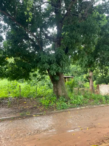 Terreno em Baturité- Ce 18m x 220m