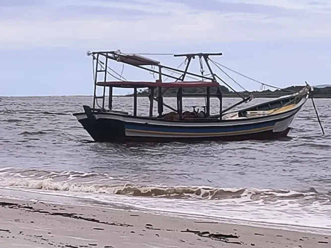 Bote