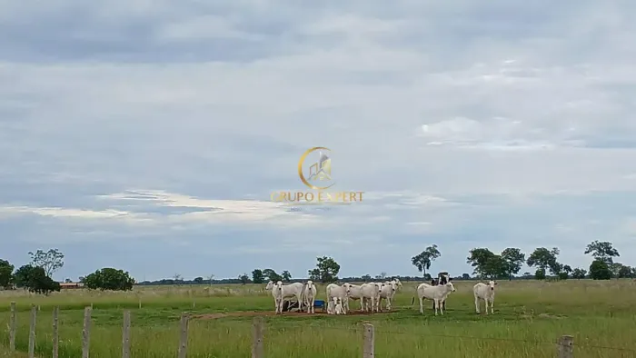 Fazenda Pecuária +7.800 hectares a venda em Cocalinho no Mato Grosso!