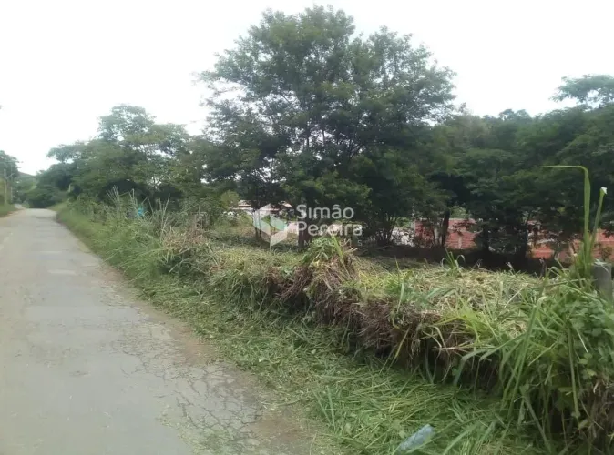 Lote à Venda, Inema , Paraíba do Sul, RJ