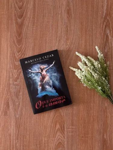 Livro: O Que Importa é o Amor