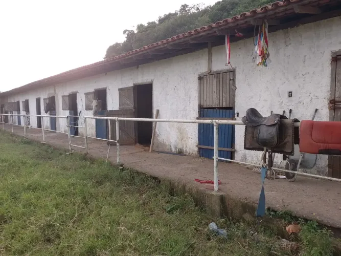 Baias para cavalos