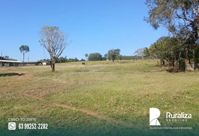 63 ALQUEIRES | 150 HA EM CANA | USINA FOTOVOLTAICA