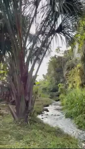 Sítio em Viçosa - Ceará