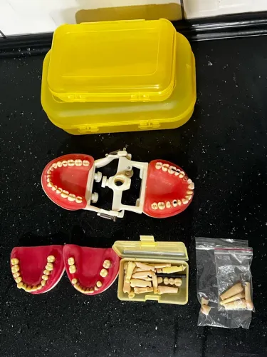 kit manequim materiais dentários e refil cirurgia com periodontia pronew