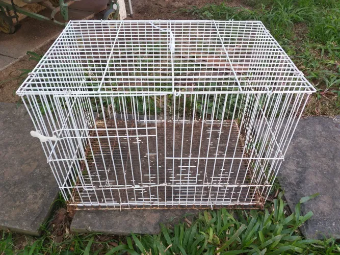 Gaiola para Coelho