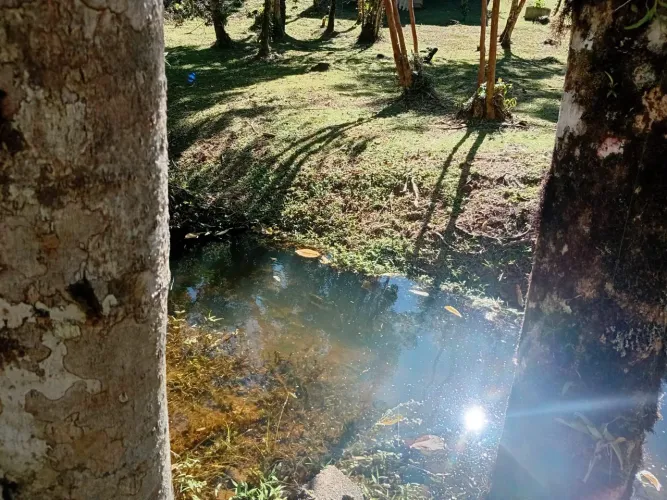 IMPERDÍVEL - CHÁCARA COM LINDO LAGO COM RIACHO
