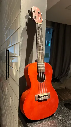 UKULELE MODELO CONCERT