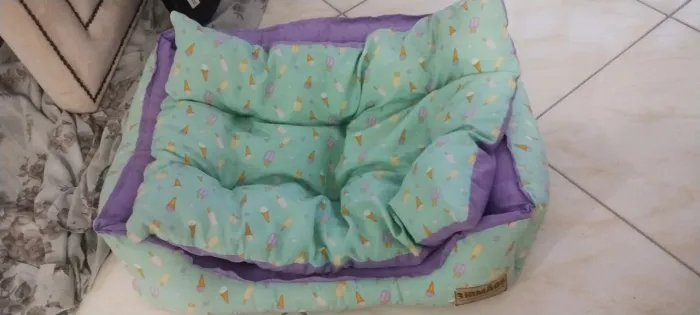 Caminha pet
