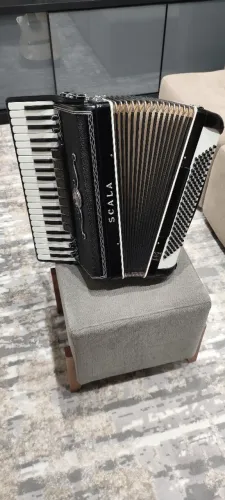 Acordeon scala 120 baixos com captação