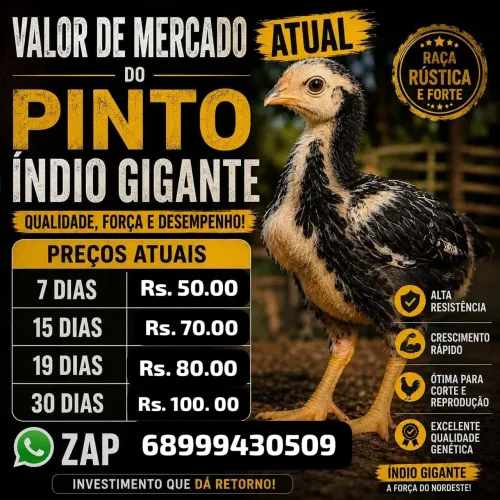 Indio gigante