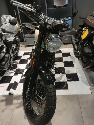 BEAR 650